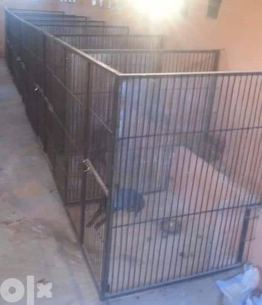 cages for dogs and cats 12