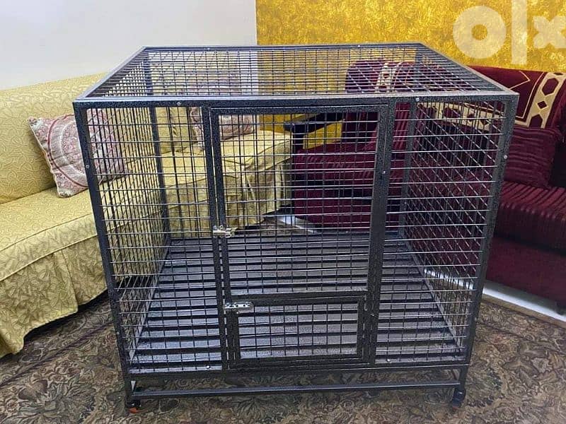 cages for dogs and cats 15