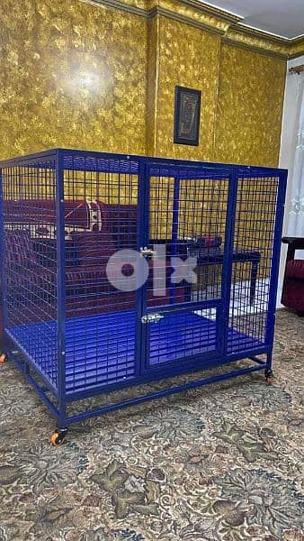 cages for dogs and cats 16
