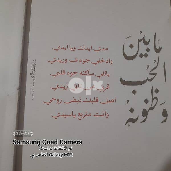 ديوان عامية " ما بين الحب وظنونه " 3