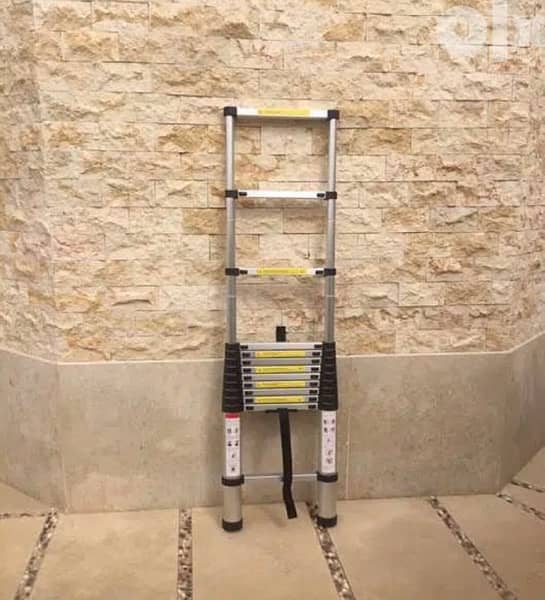 Telescopic Ladder 1