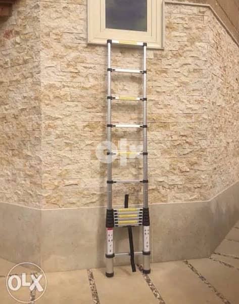 Telescopic Ladder 2