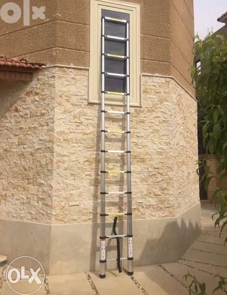 Telescopic Ladder 3