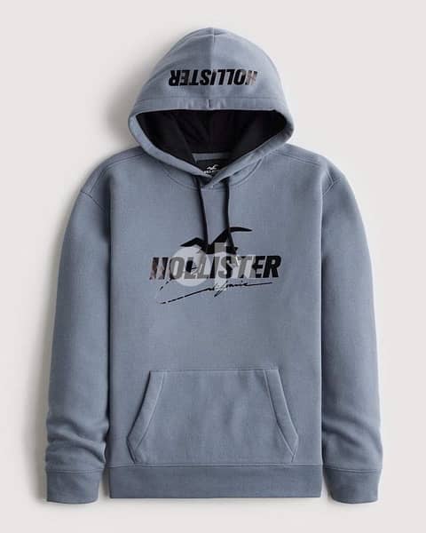 hollister hoodie Large size - Men's Clothing - 194068207