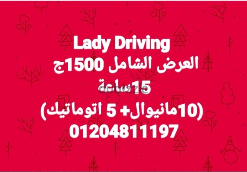 مركز Lady Driving تعليم فن القيادة وسط الزحام الشديد محافظة الجيزة 0