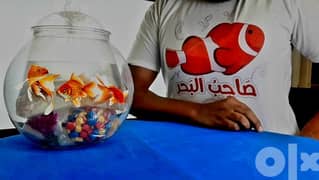 اصغر حوض سمك بمضخة اكسجين 0