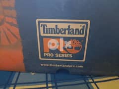 Timberland steel toe shoes