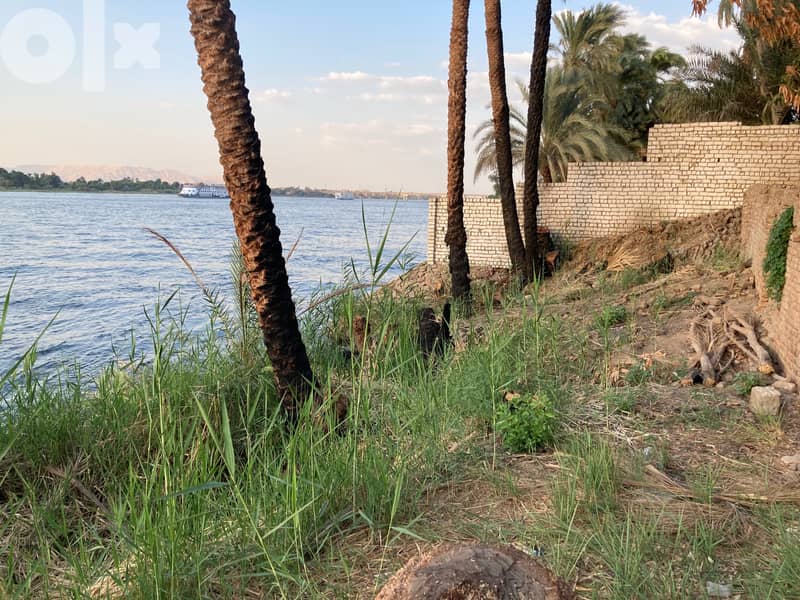 Unique piece of land with 37 meter Nile front 1