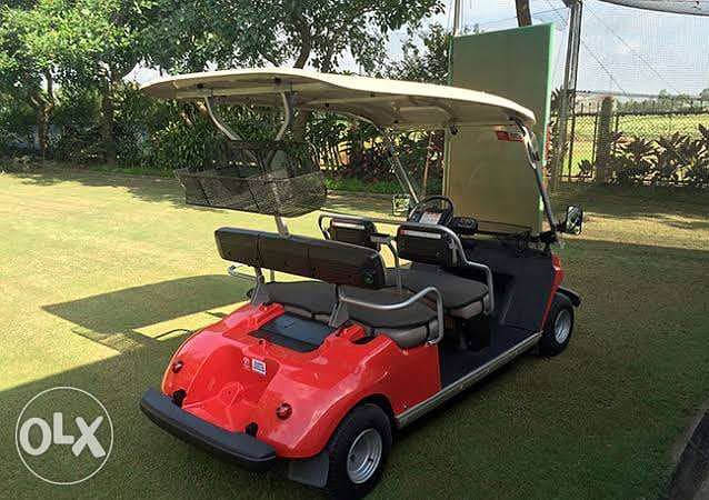 Golf cars club carts buggy 2