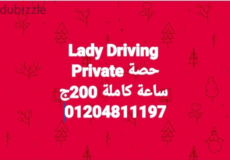 مركز Lady Driving لتعليم فن القيادة وسط الزحام الشديد محافظة الجيزة 11