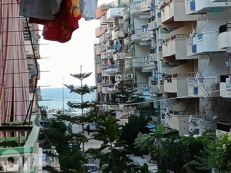 امتلك شقة في الإسكندرية شاطئ النخيل قريبه من البحر والشارع الرئيسي 7