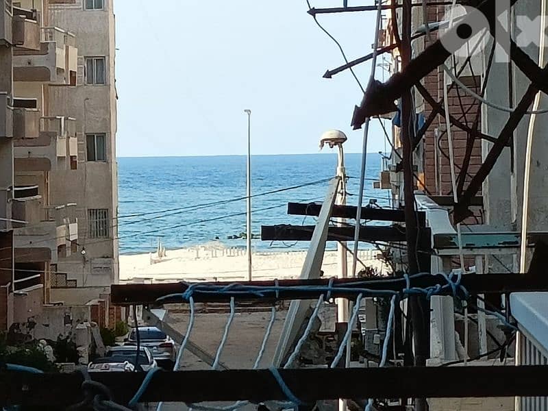 امتلك شقة في حي راقي جدا في الإسكندرية شاطئ النخيل قريبه من البحر 8