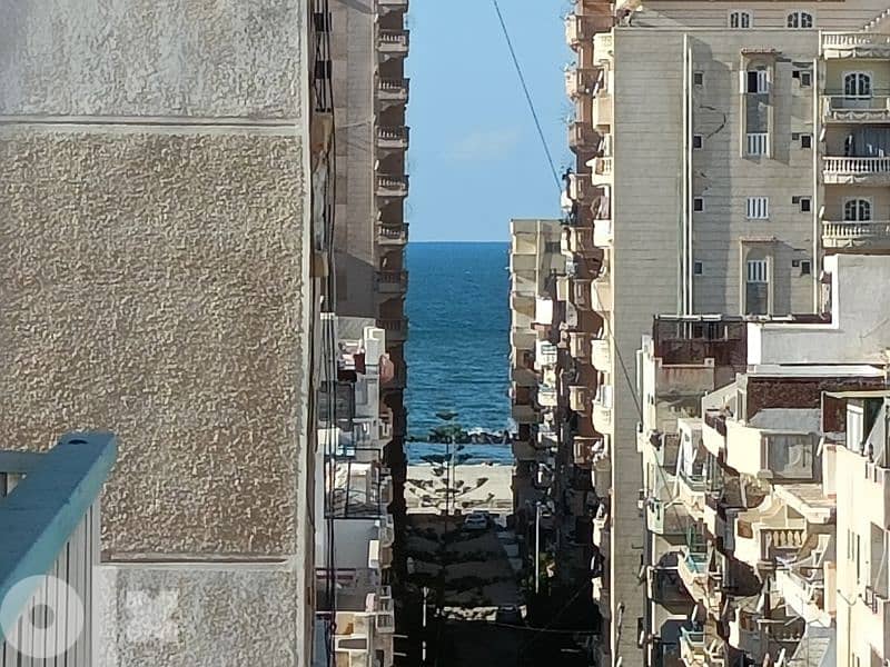 امتلك دوبلكس في الإسكندرية شارع 8 في قلب الخدمات تره البحر 9