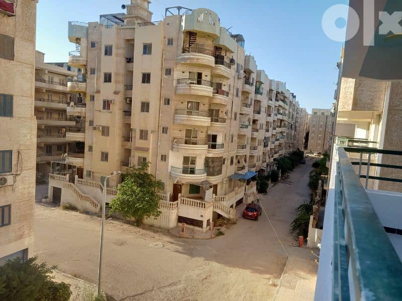 امتلك شقة في الإسكندرية حي راقي جدا عمارة القوات المسلحة 14