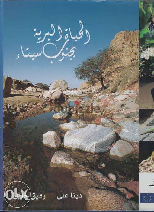 كتاب مصور الحياة البرية بجنوب سيناء يرصد تفاصيل تُشاهد لأول مرة Sinai 0