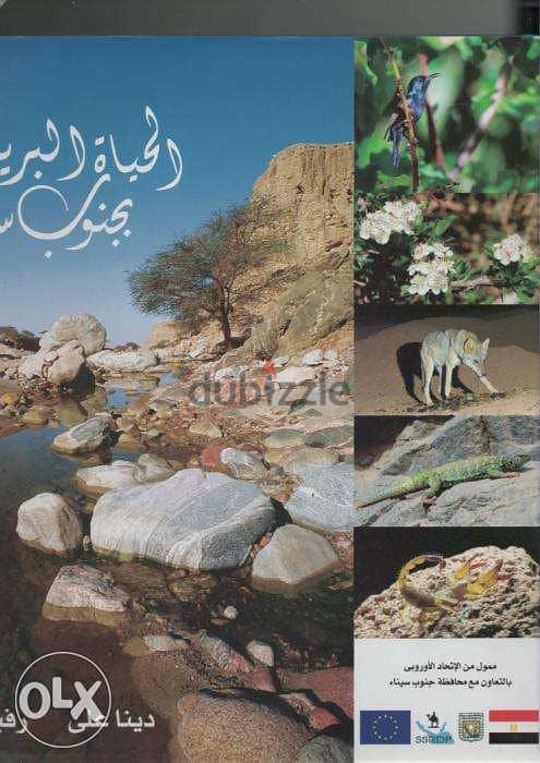 كتاب مصور الحياة البرية بجنوب سيناء يرصد تفاصيل تُشاهد لأول مرة Sinai 3