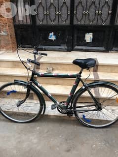 Bike 26 phonix green 0