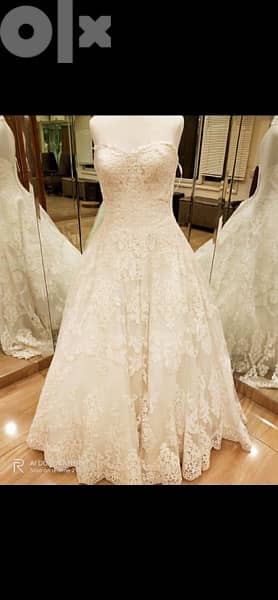 Pronovias wedding dress. فستان فرح برونوفياس 3