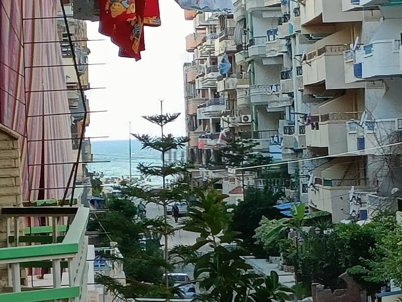 امتلك شقة في الإسكندرية شاطئ النخيل قريبه من البحر والشارع الرئيسي 12