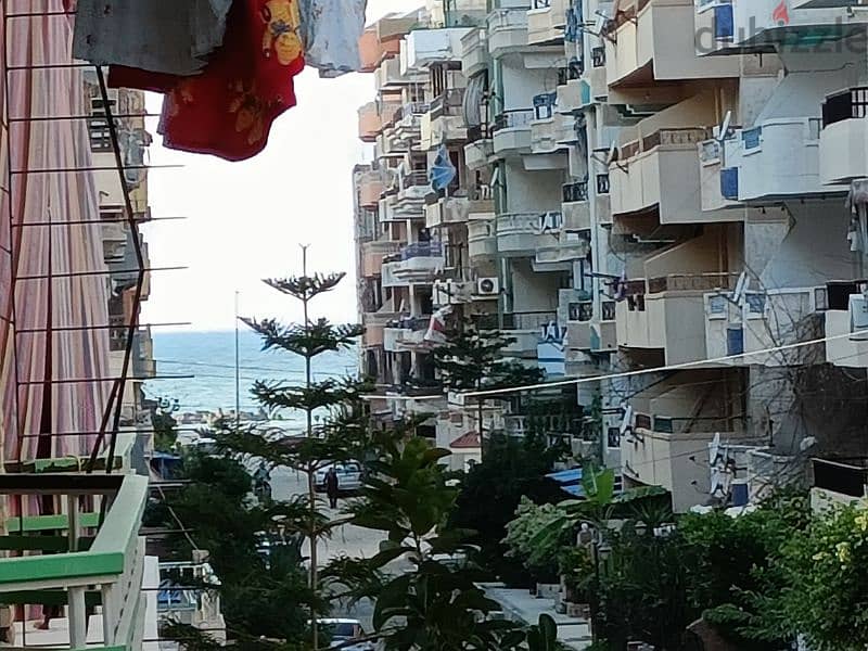 امتلك شقة في الإسكندرية شاطئ النخيل قريبه من البحر والشارع الرئيسي 13