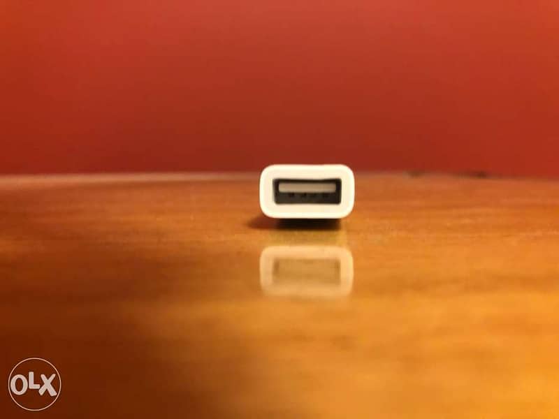 Apple lightening to USB(Original) 1