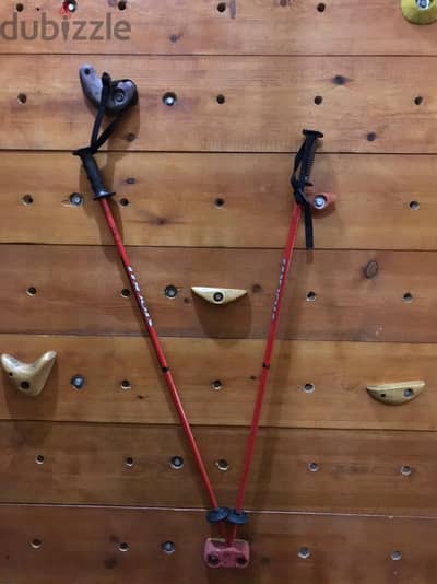 hiking trekking ski poles