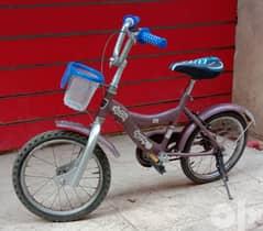 دراجة ماليزي مقاس 16 0