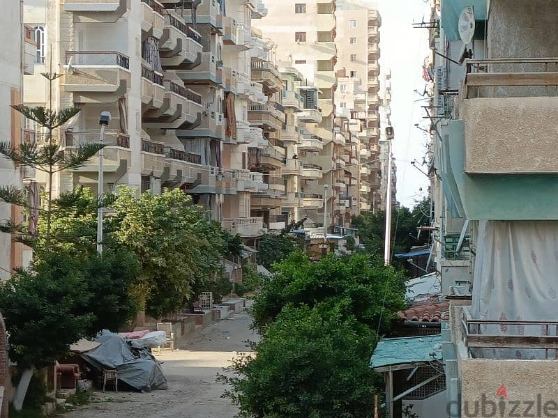 امتلك شقة في الإسكندرية شاطئ النخيل في قلب الخدمات وتره البحر 5