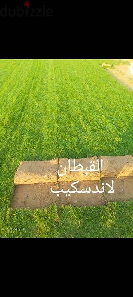 نجيل طبيعي بيور اجود نوع وأعمال لاندسكيب متميزه