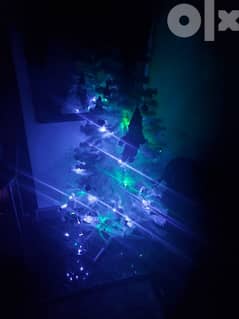شجرة كريسماس 0