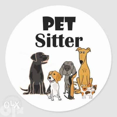 pet sitter - جليس حيوانات