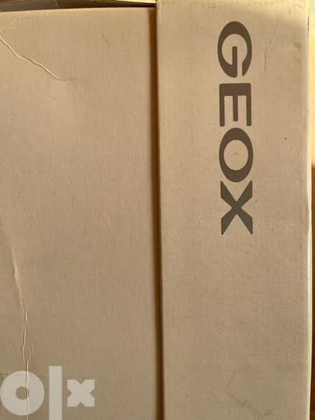 Geox shoes 2