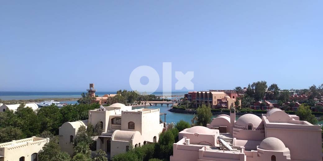 rent gouna studio 2024 0