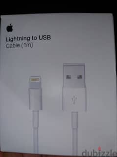 Original Lightning to USB Cable 1 m