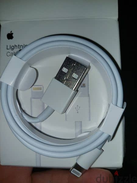 Original Lightning to USB Cable 1 m 1