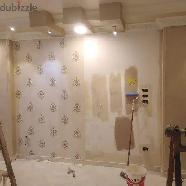 نقاش وفنى ديكورات65565447350145122