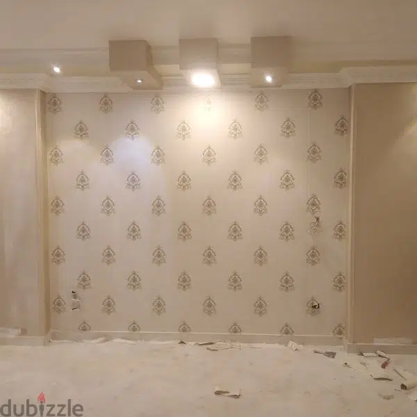 نقاش وفنى ديكورات65565447350145126