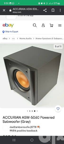 ACCURIAN ASW-5060 Powered Subwoofer (Gray)