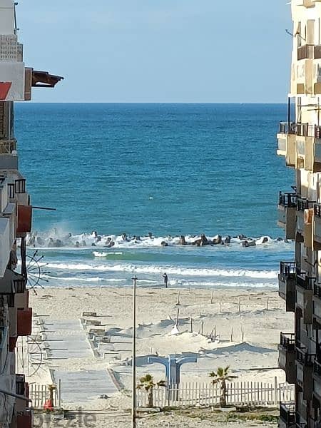 امتلك شقة في الإسكندرية شاطئ النخيل (3نوم) نصيه بحري شارع رئيسي 7