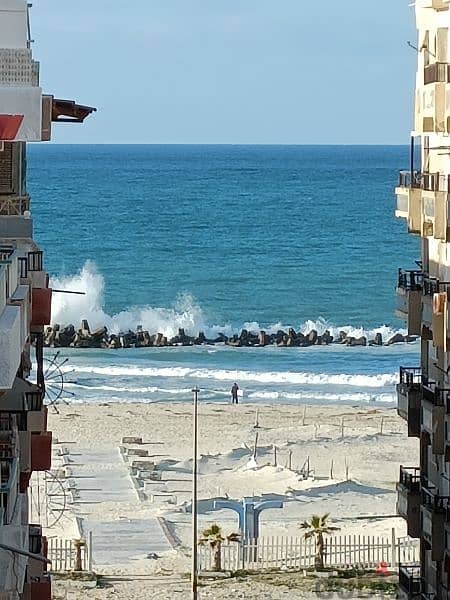 امتلك شقة في الإسكندرية شاطئ النخيل (3نوم) نصيه بحري شارع رئيسي 10