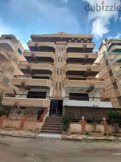 امتلك شقة في الإسكندرية شاطئ النخيل موقع ممتاز سكني