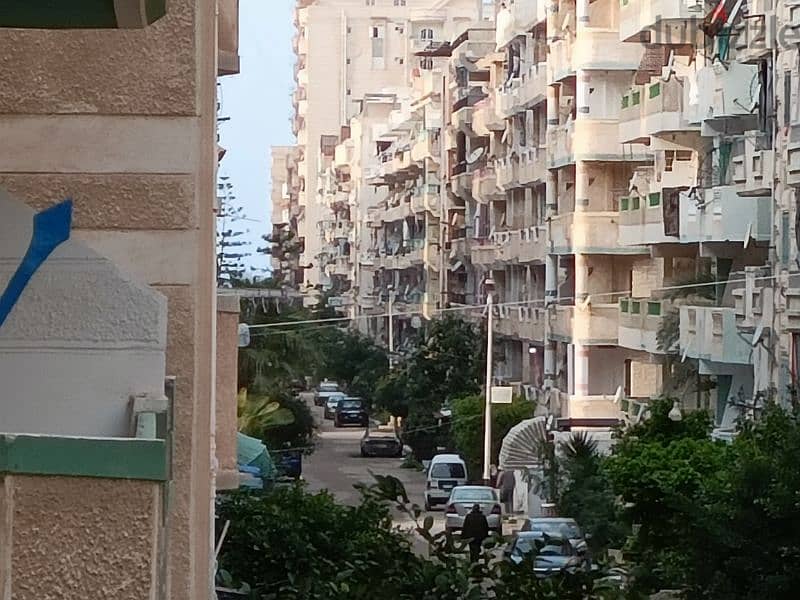 امتلك شقة (3نوم) في الإسكندرية شاطئ النخيل خلف الشارع الرئيسي 4