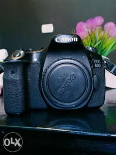 Canon60d with 50mm , 18_135 0
