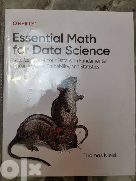 head First Javascript programming & Essential math for data science 3