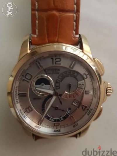 CITIZEN Ecco Drive.