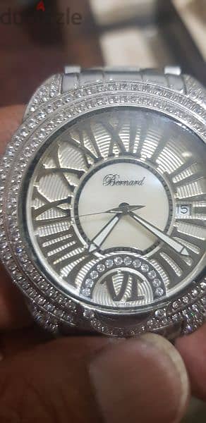 Bernard Swiss Mede 1