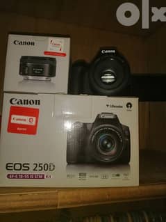 Canon 250d. . lens 50mm 0