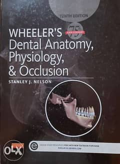 Wheeler's Dental Anatomy, Physiology, and Occlusion 0
