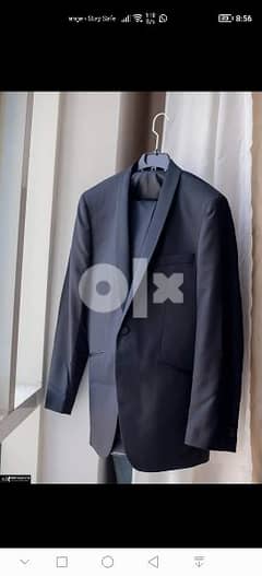 massimo dutti suits