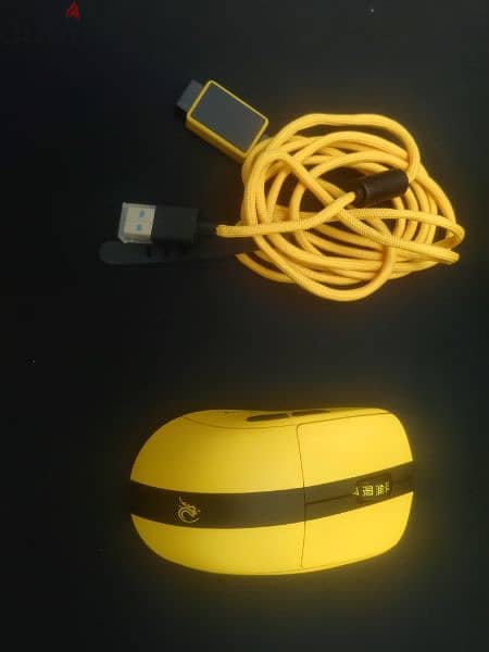 Pulsar X2 Bruce lee edition (Medium) 1